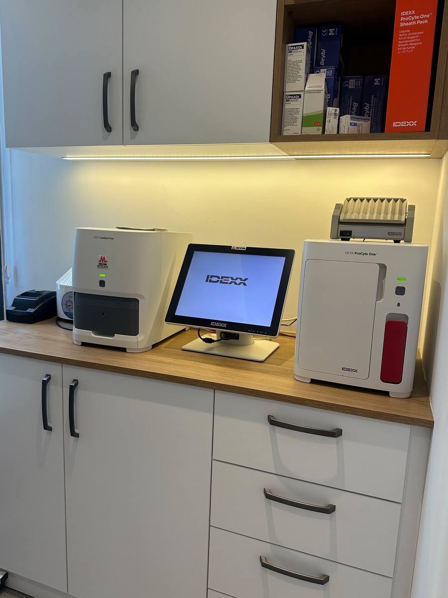 Hospetia Veteriner Kliniği laboratuvarındaki IDEXX cihazları