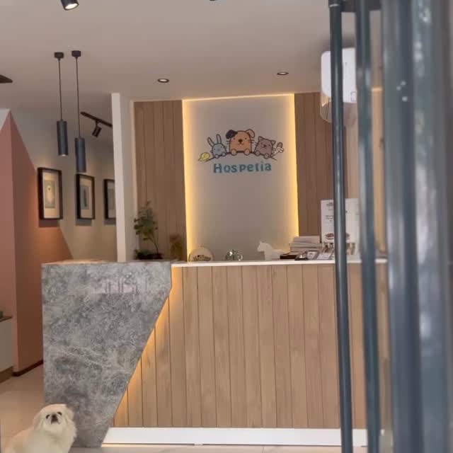 Hospetia Instagram gönderisi